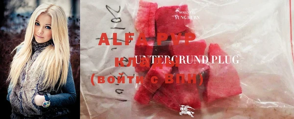 прущие грибы Абинск