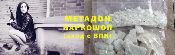 прущие грибы Абинск