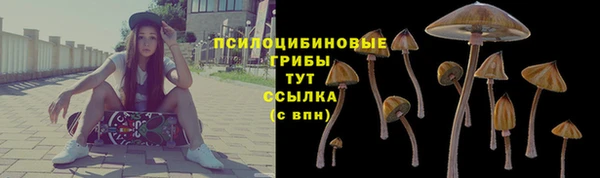 a pvp Абдулино