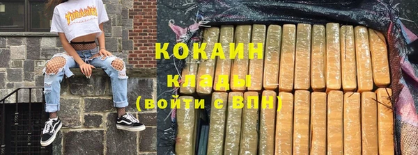 прущие грибы Абинск