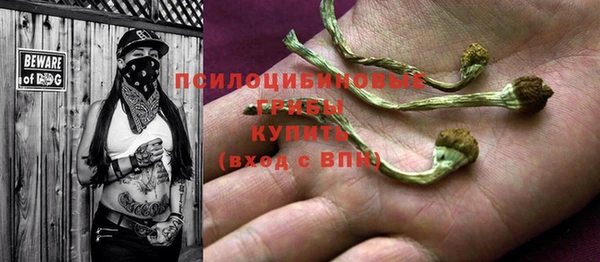 a pvp Абдулино