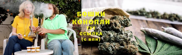 прущие грибы Абинск