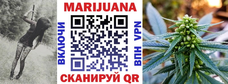 сколько стоит Алзамай Бошки Шишки план